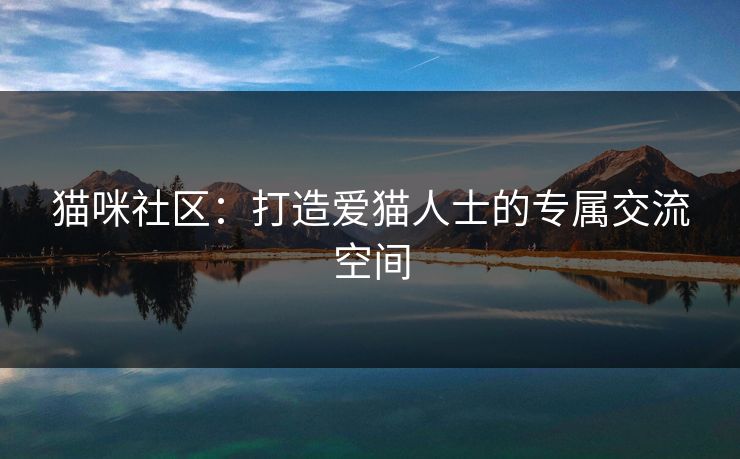 猫咪社区：打造爱猫人士的专属交流空间