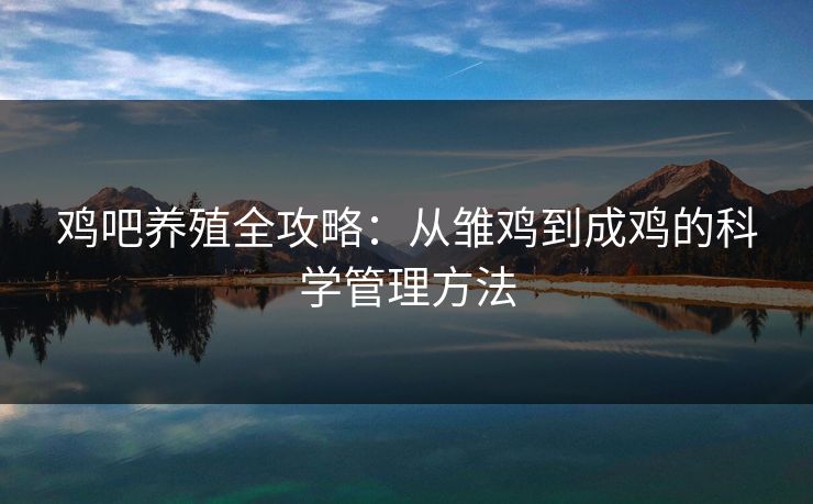 鸡吧养殖全攻略：从雏鸡到成鸡的科学管理方法