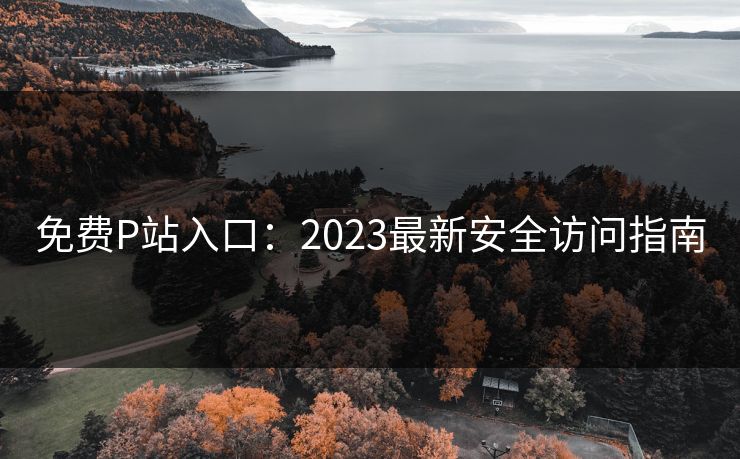 免费P站入口：2023最新安全访问指南